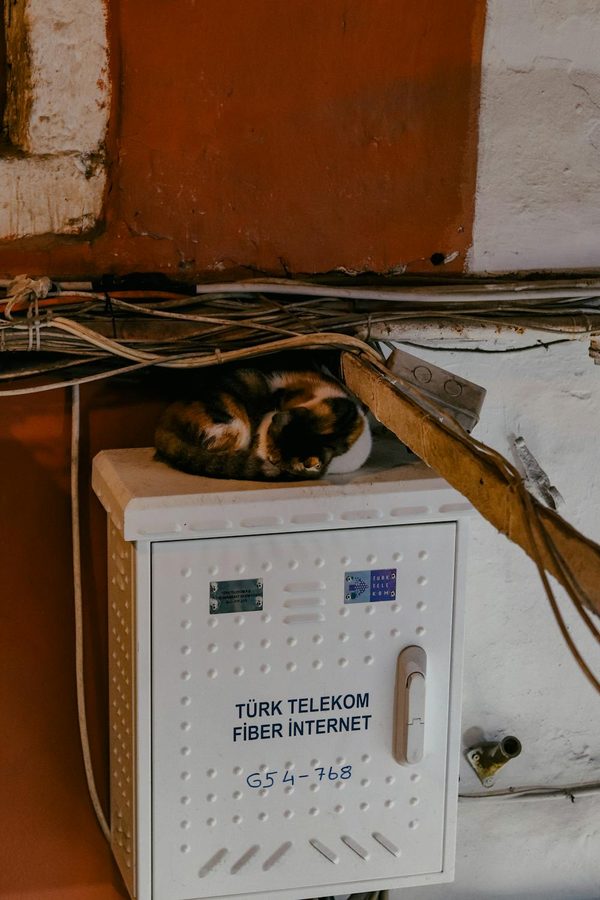 Top astuces pour dénicher une box à petit prix en 2025