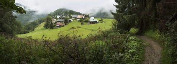 Est-ce que l'acétone est un dégraissant ?