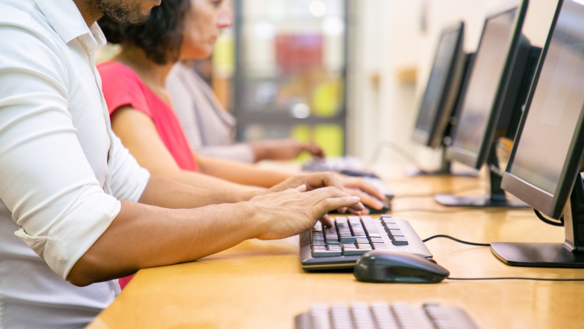 Comment préserver votre matériel informatique des dangers des rongeurs ?